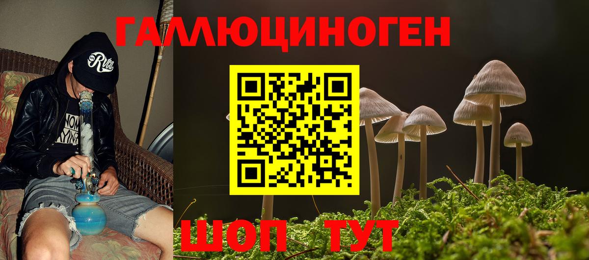 Галлюциногенные грибы Cubensis  Вход с VPN  Псилоцибиновые грибы Psilocybe  Иваново 